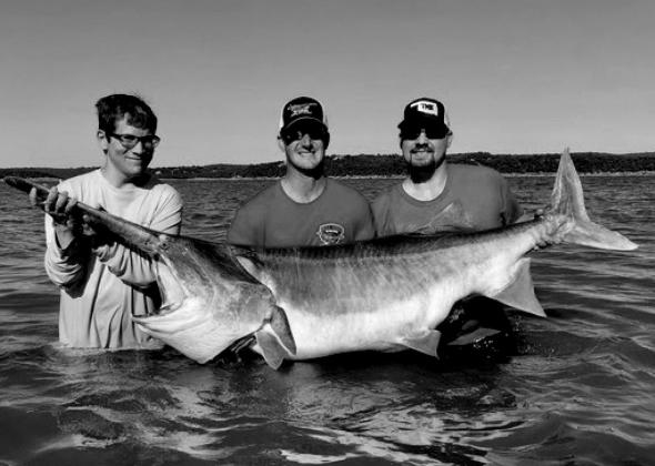 New world and state record paddlefish caught at Keystone Lake on Tuesday, June 22. 164 pounds. Grant Rader (left) of Wichita, Kansas was the lucky fisherman. courtesy photo