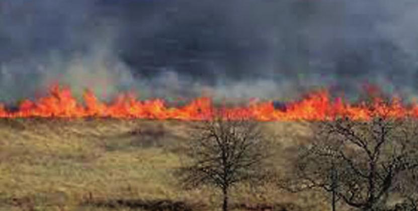 Grass fires continue to be ignited and despite the tremendous efforts of the fire departments, acreage is destroyed and in some instances more than just acreage. courtesy photo