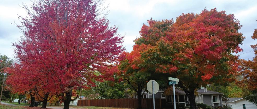 Fall shows its colors