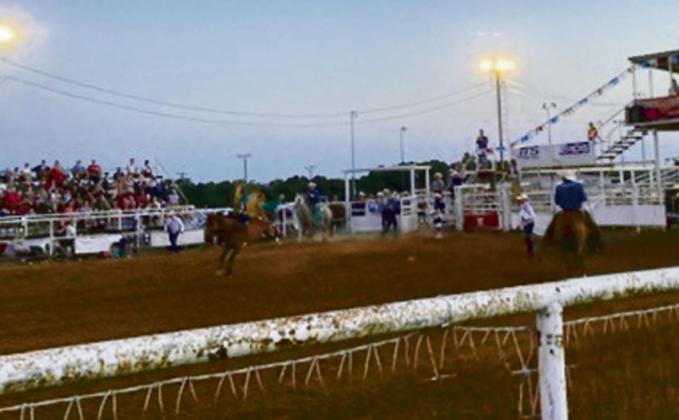 Bronc rider Brad Gower makes his tribute ride before retirement. Lori-Anglin Ellis photo