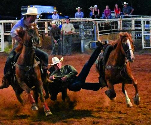 These two cowboys showed the audience a little about steer wrestling. courtesy photo