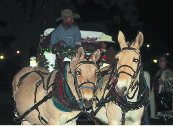 Sweet Dreams Carriage Rides is offering rides to holiday shoppers and downtown visitors during the Christmas season. Vicki Grisham photo