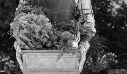 Ten Tips for Starting a Garden