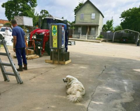 Charlie, the Depew community dog, is still roaming the streets, collecting his hand-outs and overseeing the progress of work being performed at the carwash that is being remodeled. courtesy photo